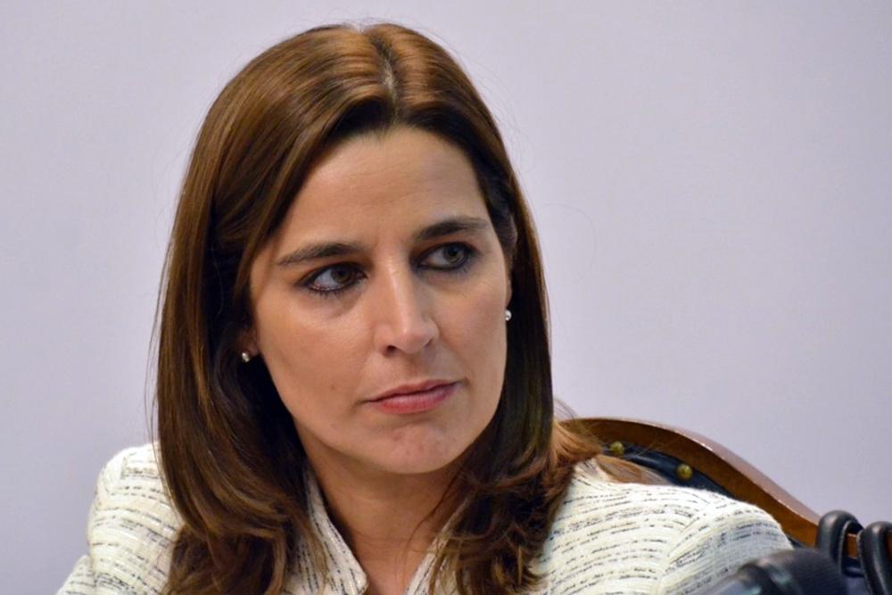 La diputada Carrizo pide a Nación “mayor control” de la asistencia social