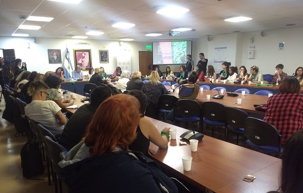 Diputados nacionales misoprostol
