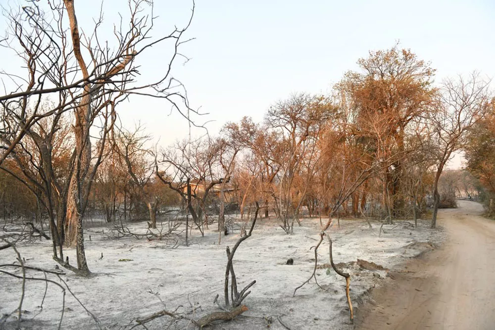 incendio san marcos (5)