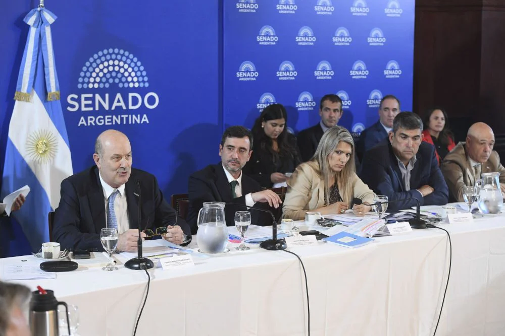 Sturzenegger en el Senado NA