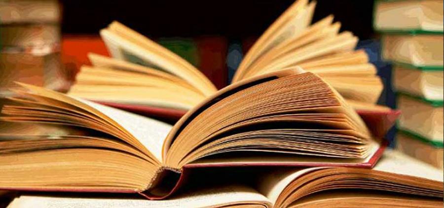 Lectores libros