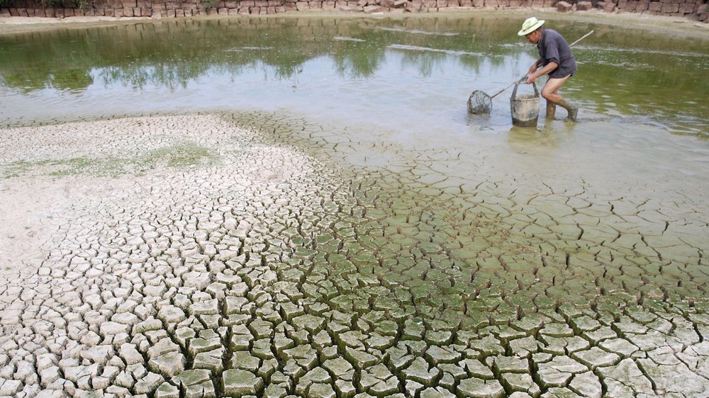 cambio climático