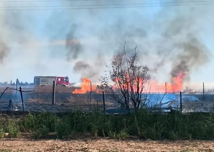 incendio coronel moldes web