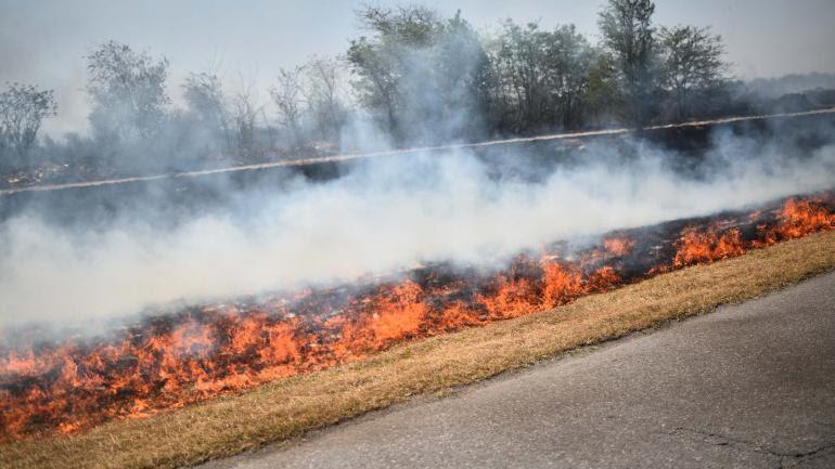 incendios 2 by gentileza