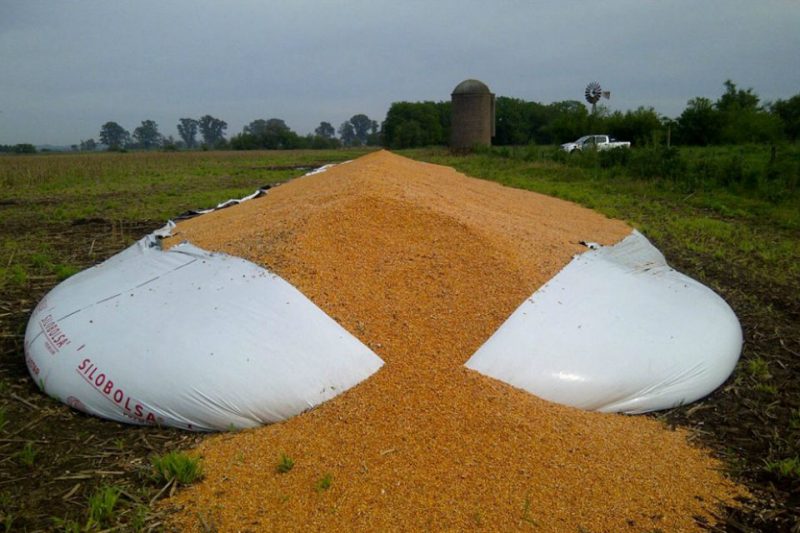 Cereales silo bolsa