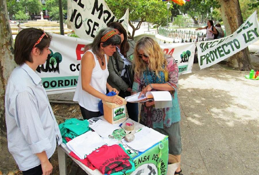 bosques nativos