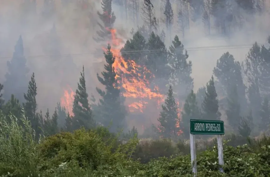 Chubut: incendio forestal en Epuyén arrasó al menos 200 hectáreas en el noroeste de la provincia thumbnail