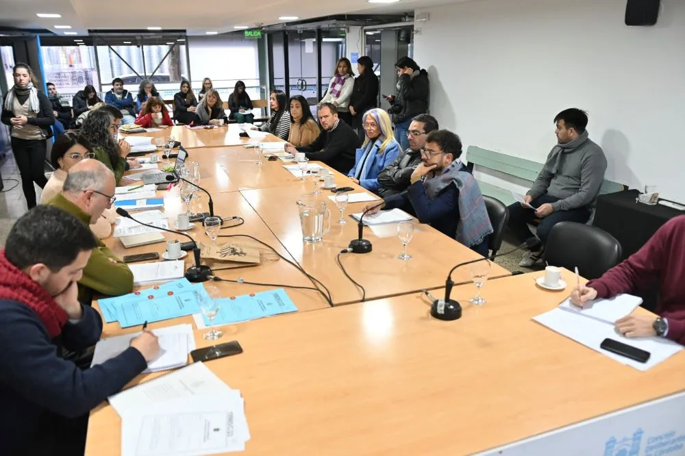 Cois Educ Conc Deliberante