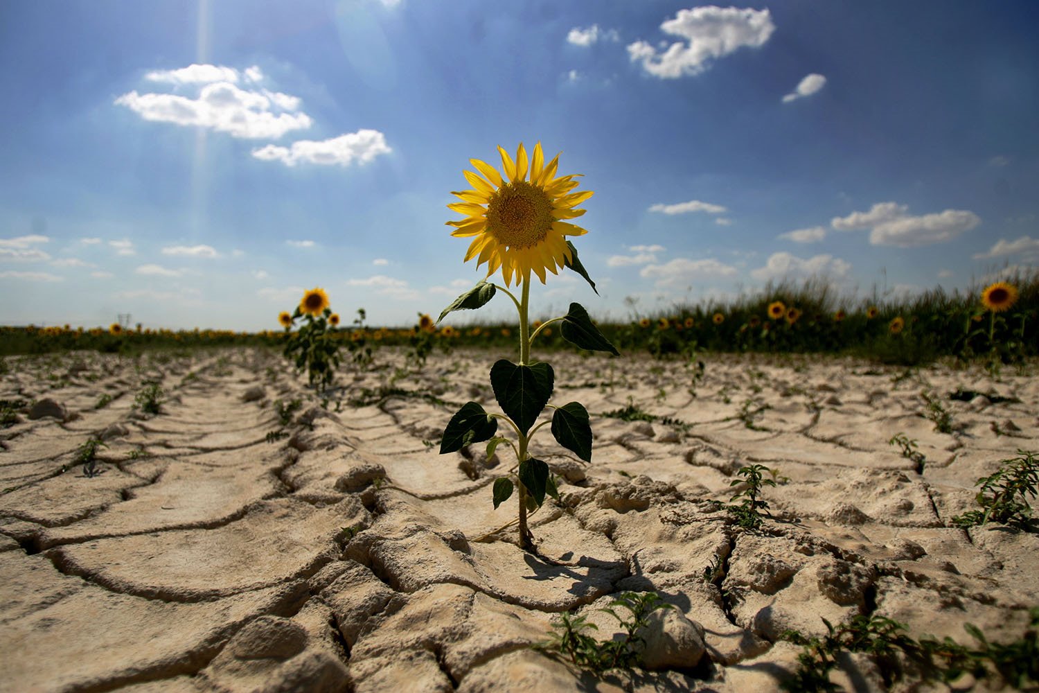 cambio climatico