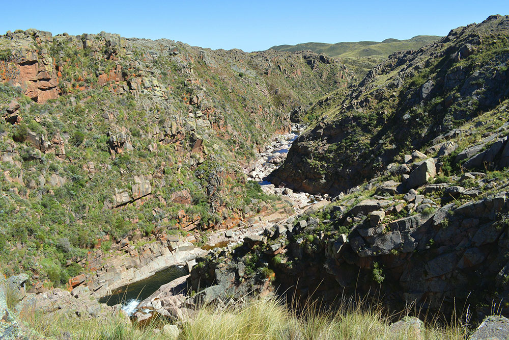 00 Taruca Pampa Rio-1