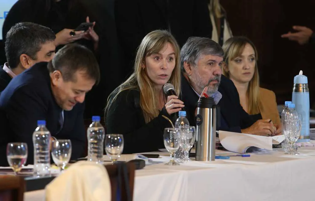 Comisiones del Senado NA