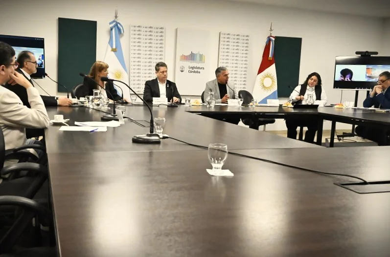 Trabajo en comisión (Legislatura)