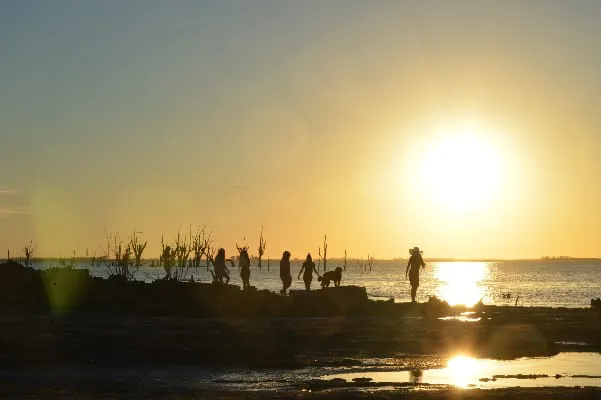 salinas grandes web