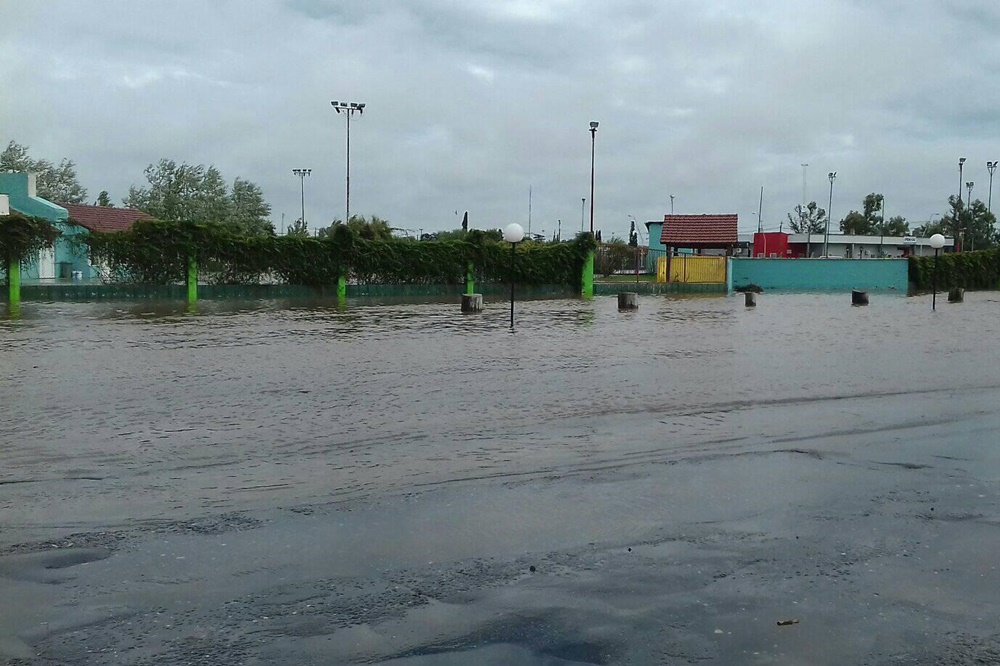 arroyo algodón facebook gustavo paredes