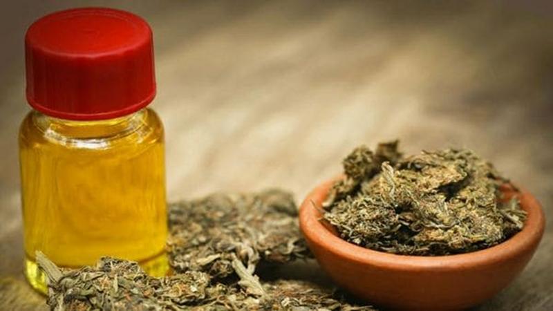 Aceite-de-cannabis-medicinal-1920-2-1024x576