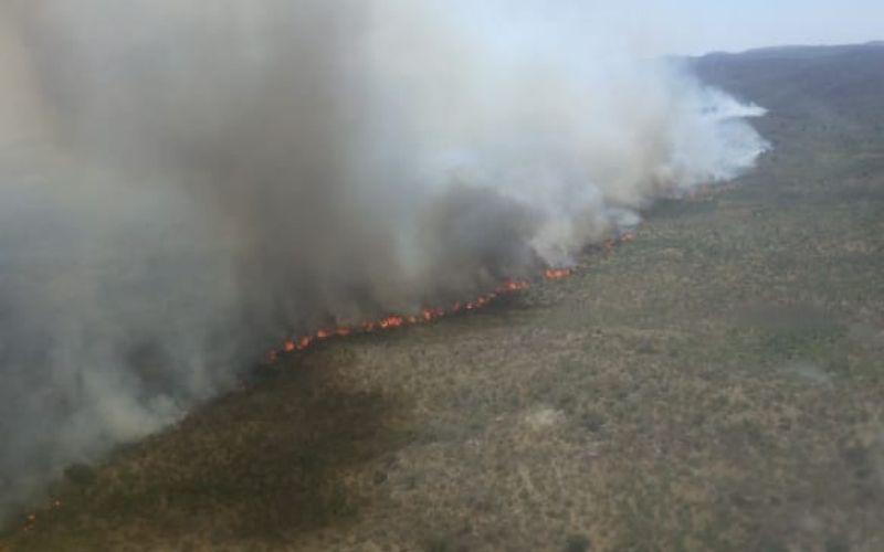 Incendio forestal