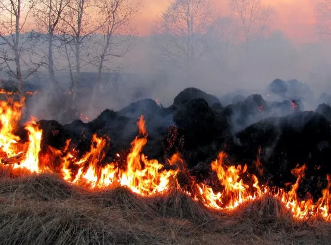 Incendio (Poder Judicial)