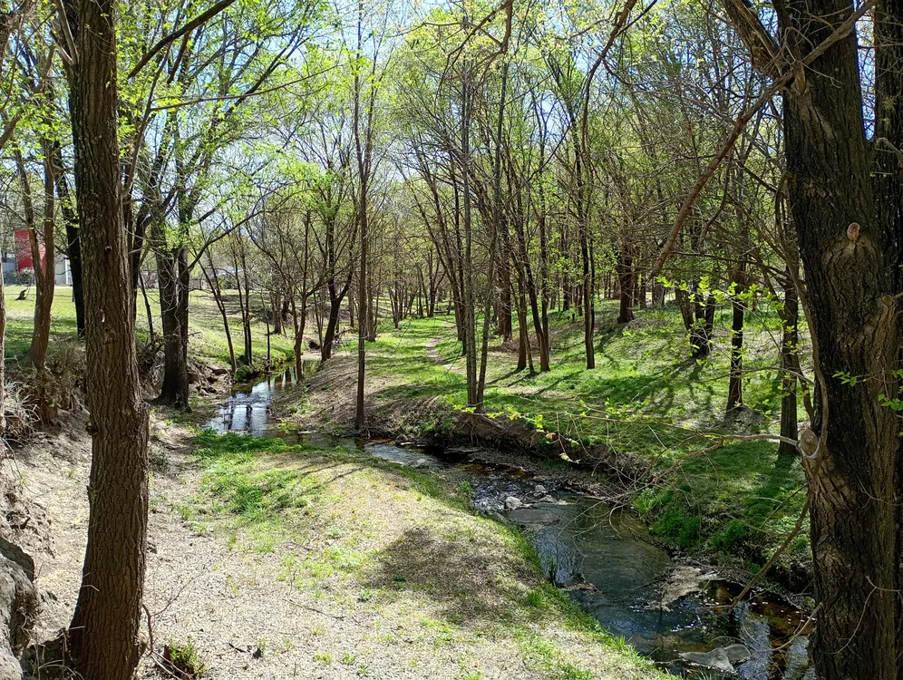 san antonio 4