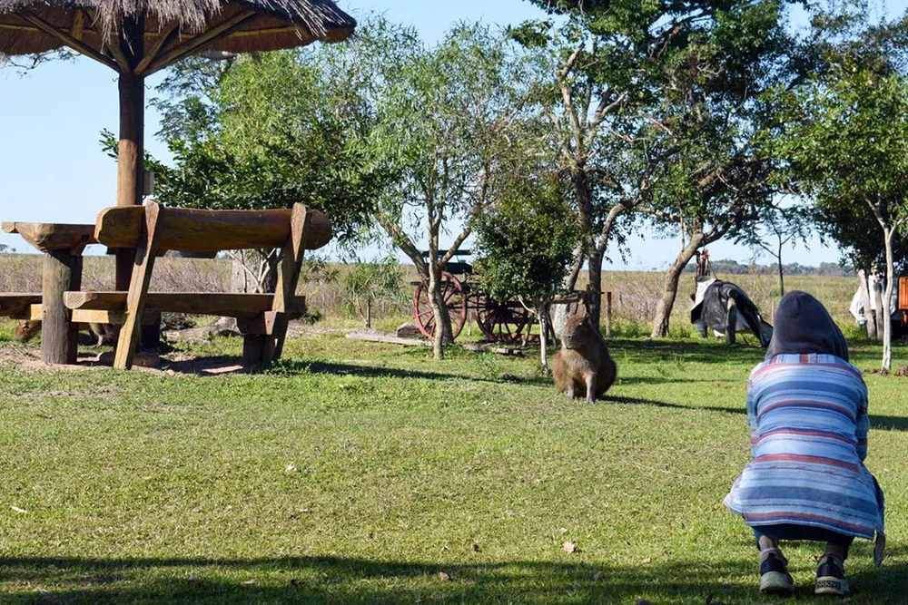 Corrientes11