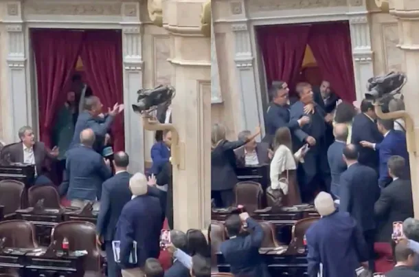 Zago y Almirón a las trompadas en Diputados (NA)