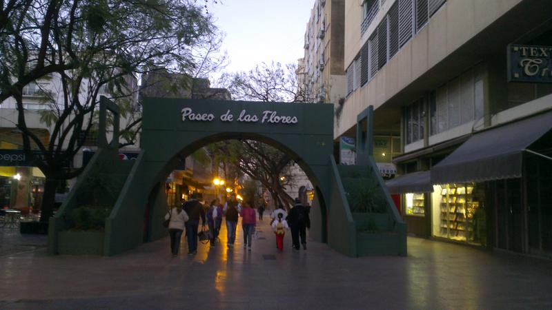 peatonal2
