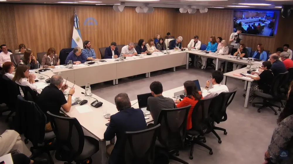 Comisión de Discapacidad de Diputados (captura)