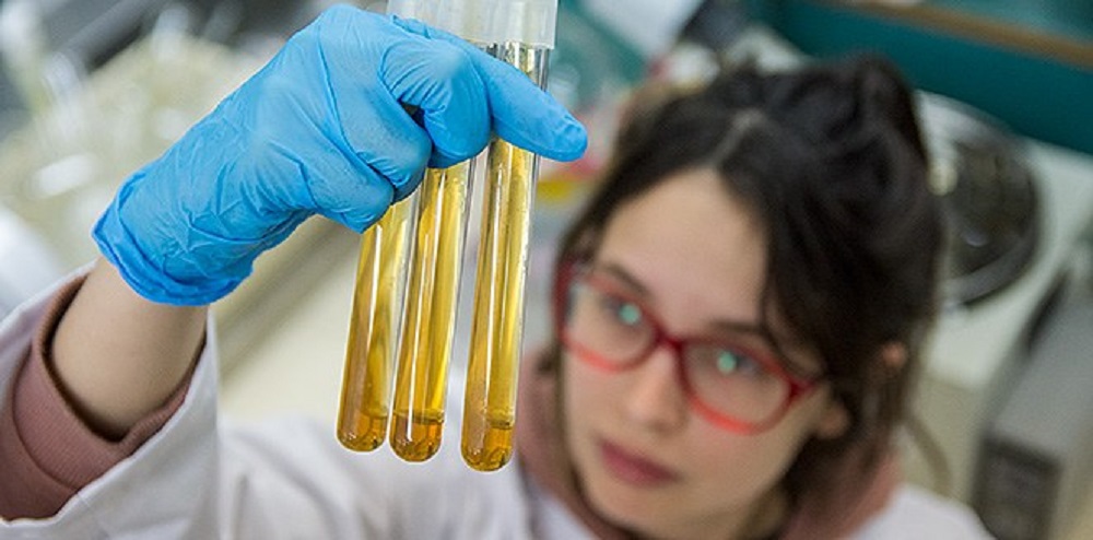 UN CIENCIA Investigación conservantes naturales