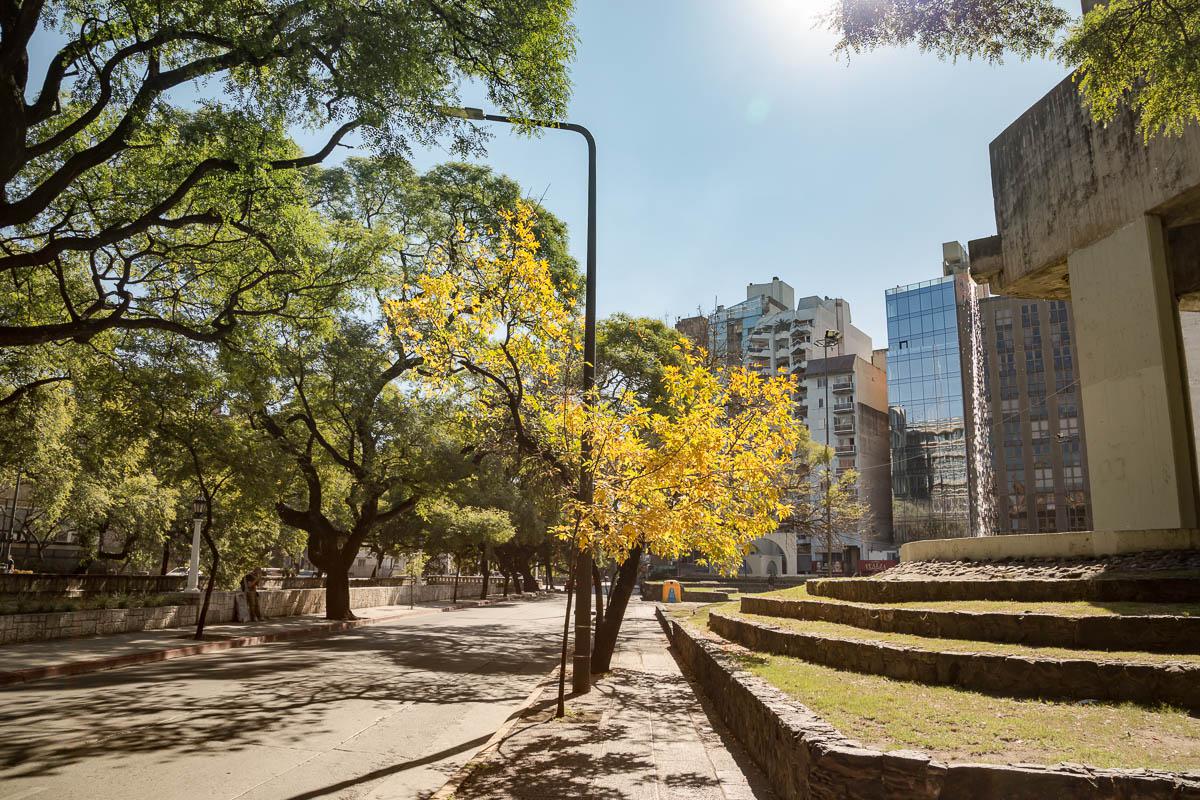 CovidCba Urbano © 2020 Javier Imaz_070