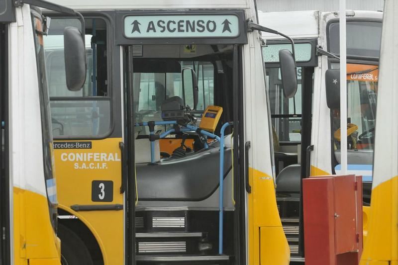 colectivo coniferal