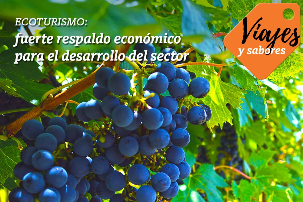 Tapa_Viajes y Sabores