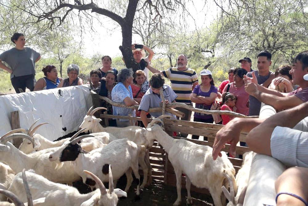 Agricultura familiar_03