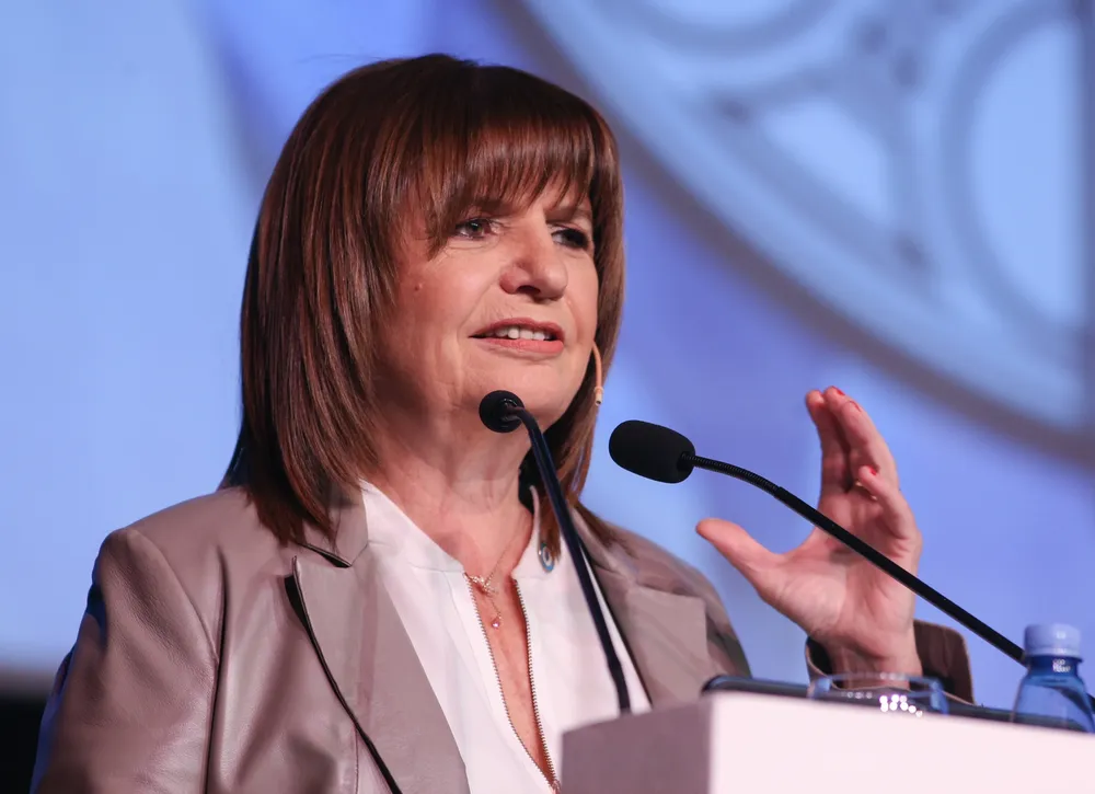 Patricia Bullrich (Damián Dopacio, NA)