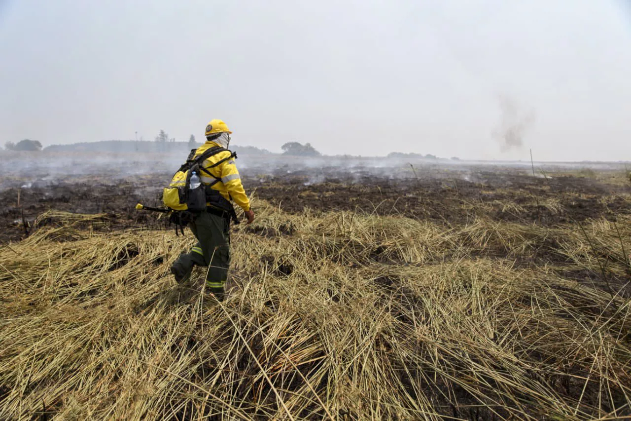 Incendios en Corrientes (NA)