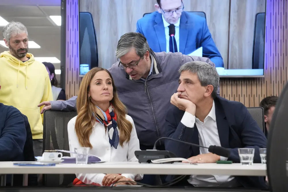 Diputados en Comisión (X de Diputadoa) 2