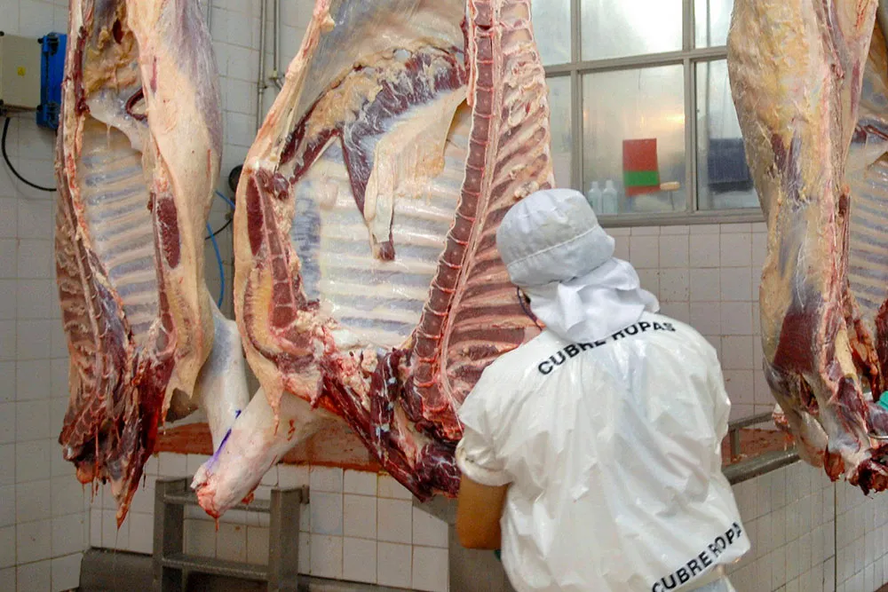 Carne © NA