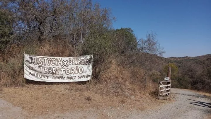 comunidad pluma blanca