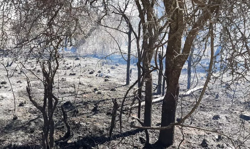 incendio ambul