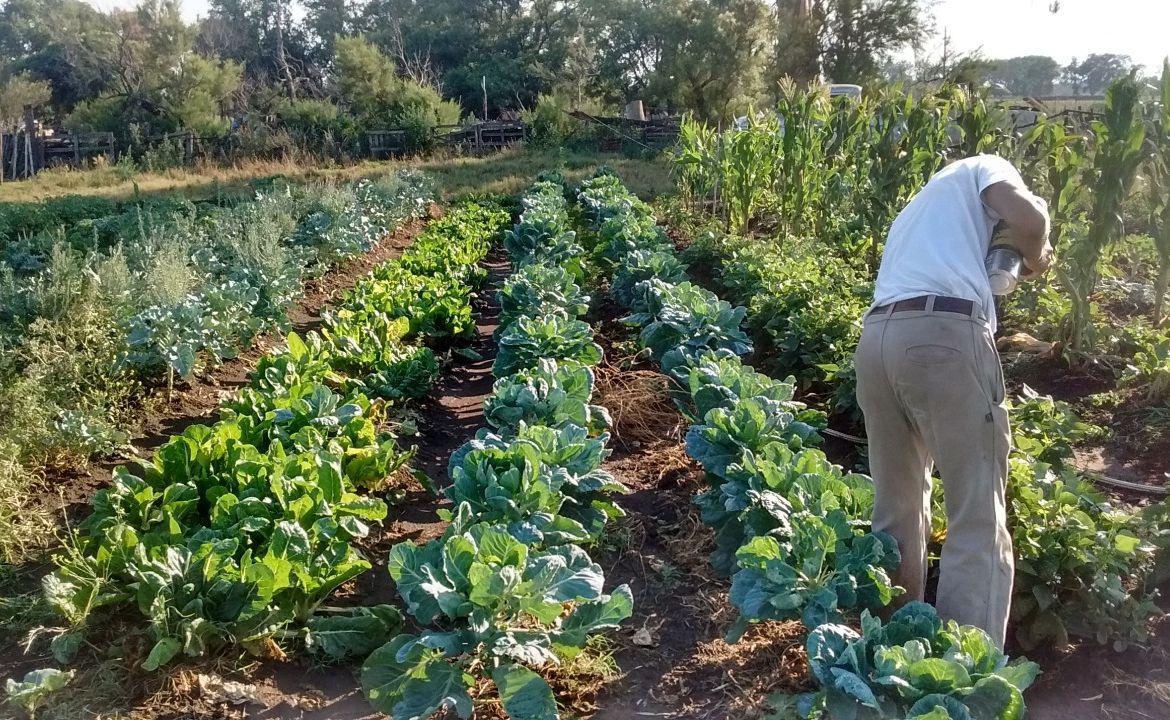 agroecología