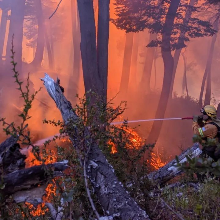 Incendio forestal (Parque Nacional Los Alerces) (2)