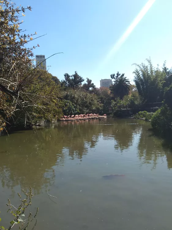 Paseos porteños00006