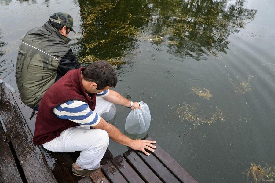 Trucas parque sarmiento prensa muni 01