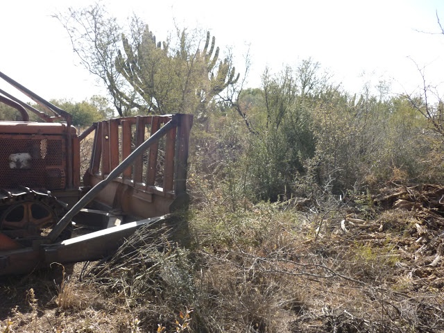 bosque norte cordoba