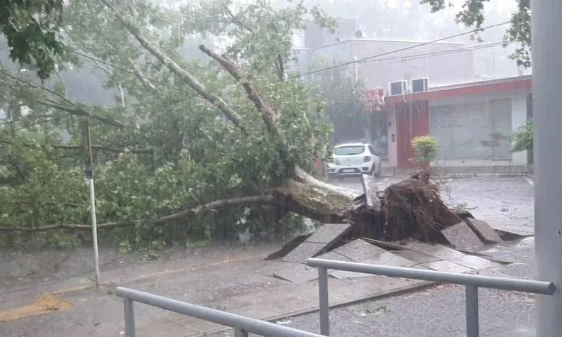 Destrozos del temporal en Colonia Caroya (FM Comunicar) 2