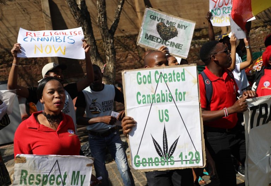 cannabis sudafrica