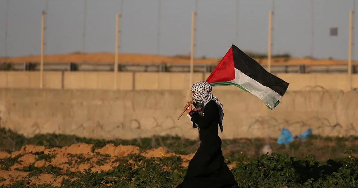Experiencias y relatos en Palestina: "Cuéntale al mundo sobre nosotras" thumbnail