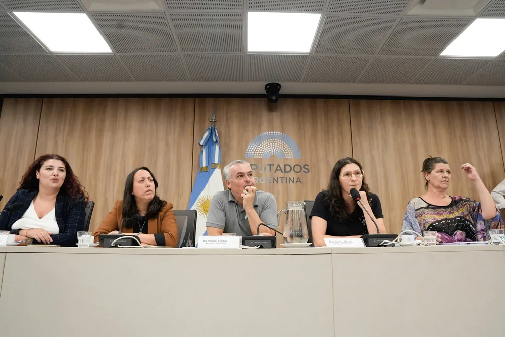 Debate en Comisiones cambios Ley de Identidad de Género (Cámara de Diputados de la Nación)