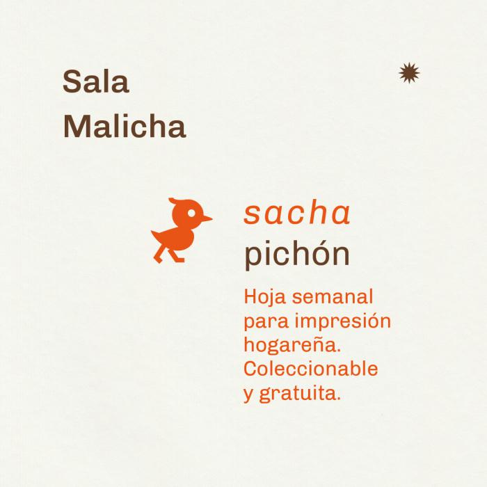 sacha