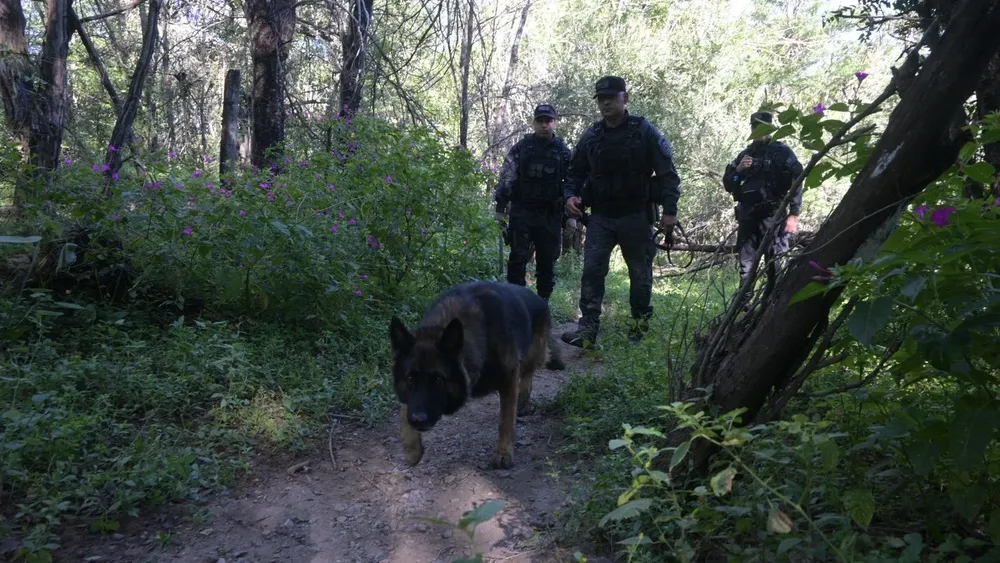 busqueda de niña de cosquín by policía