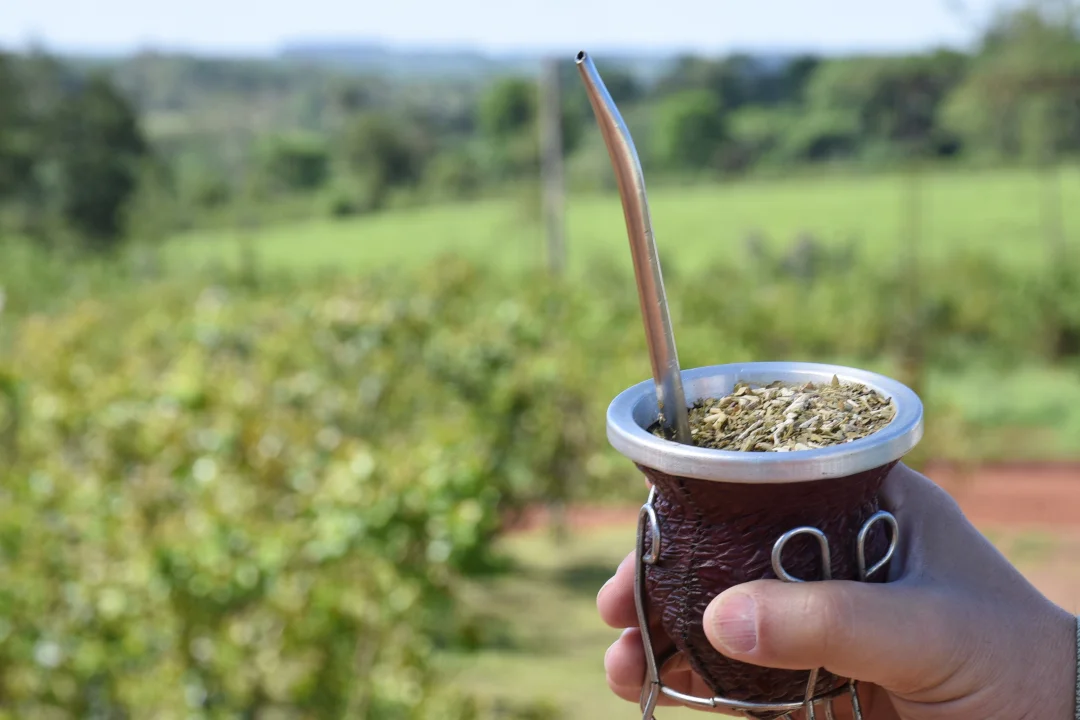 Mate (Instituto Nacional de la Yerba Mate)