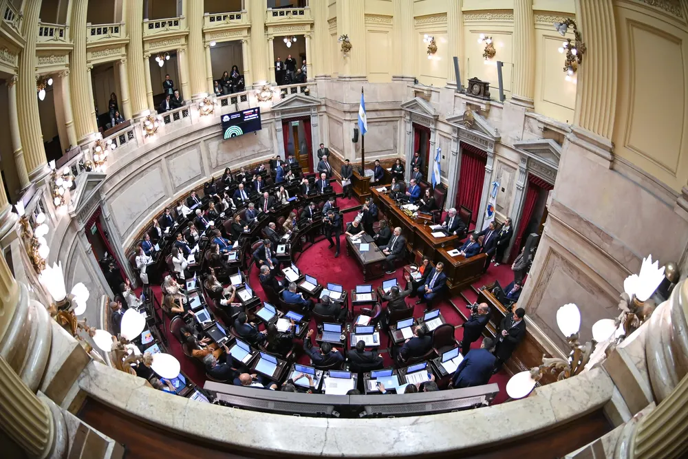 Senado (X del Senado)